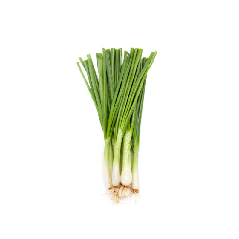 Oignon botte